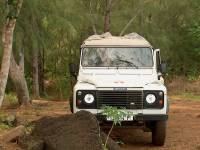 bora bora jeep 